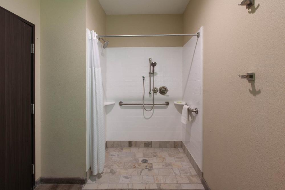 1 King Bed, Mobility/Hearing Accessible Studio Suite, Roll-In Shower, No Smoking interior
